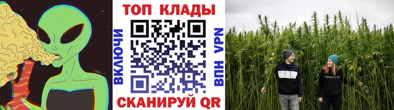 Наркошоп Калачинск Псилоцибиновые грибы  Меф  Гашиш  Alpha-PVP 