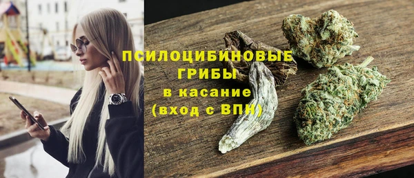 гашик Абинск