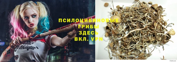 спайс Алексин